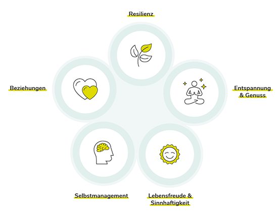 Grafische Darstellung der 5 Dimensionen: Beziehungen, Resilienz, Entspannung und Genuss, Lebensfreude und Sinnhaftigkeit und Selbstmanagement
