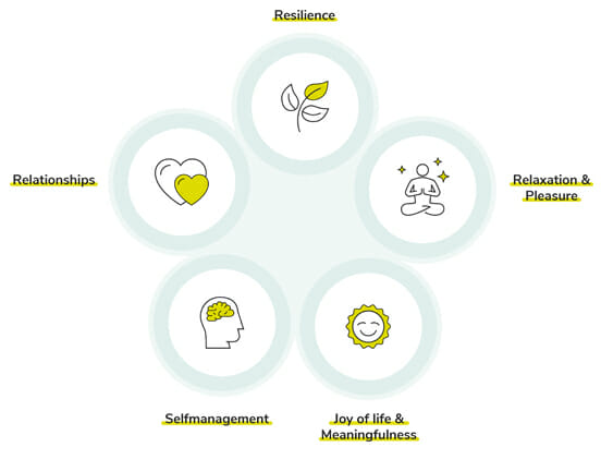 The Fürstenberg Model - 5 Dimensions - Resilience, Relationships, Relaxation & Pleasure, Selfmanagement, Joy of life & Meaningfulness