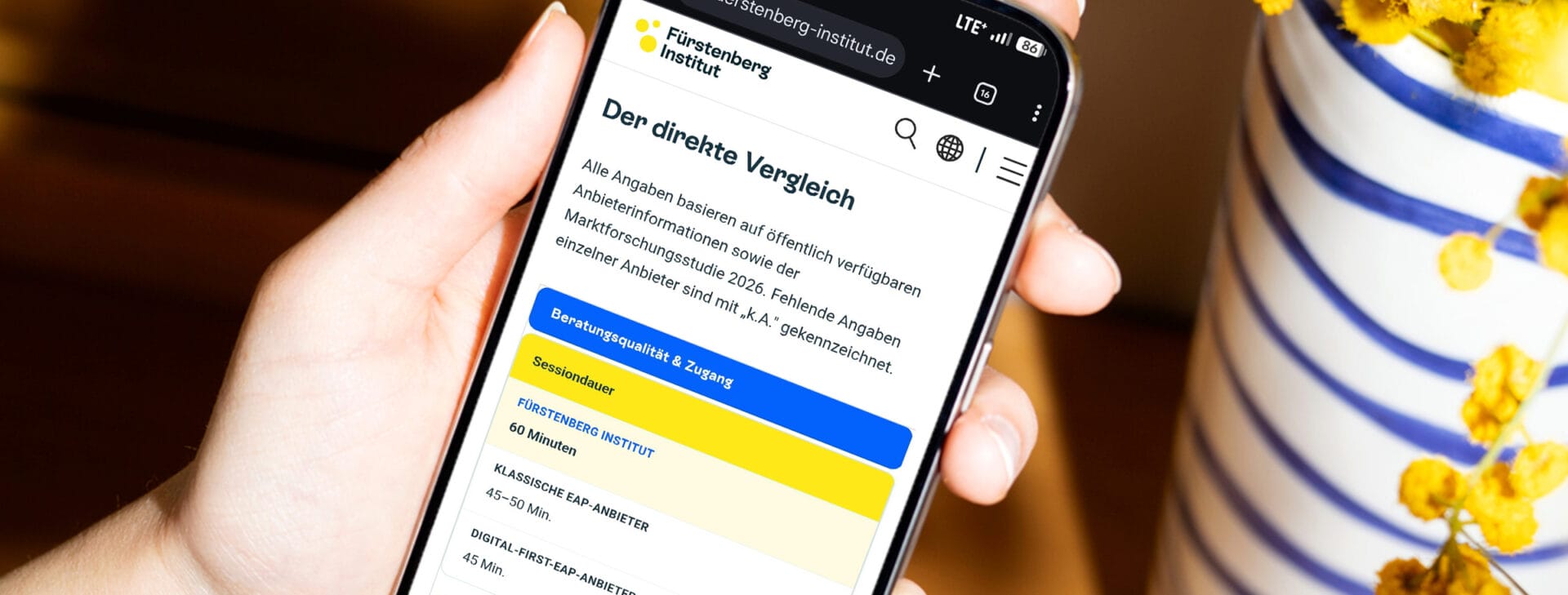 Mobile Ansicht des EAP Anbieter Vergleichs auf der Fürstenberg Seite